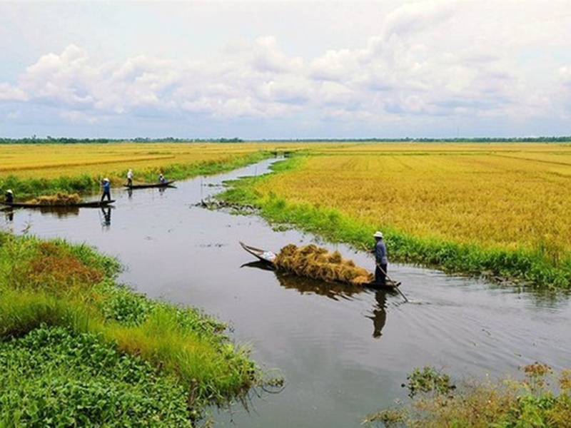 Nguyễn Đức - Thơ